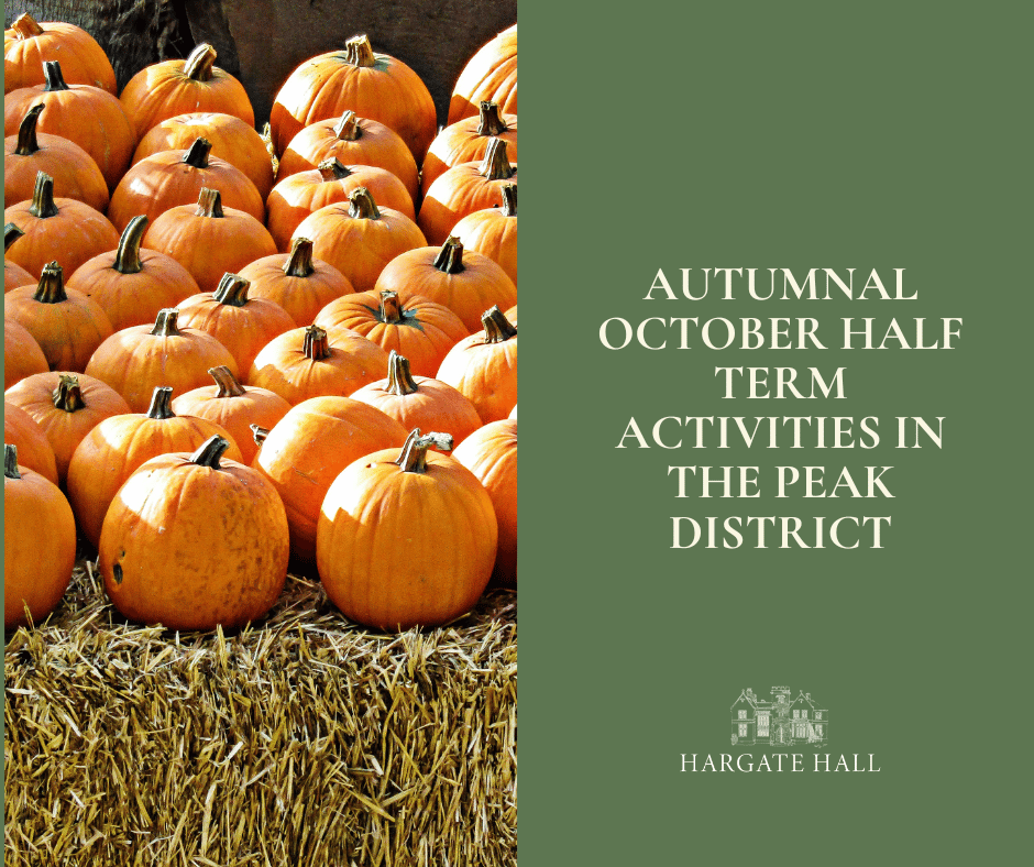 Autumnal October Half Term Activities To Do In The Peak District